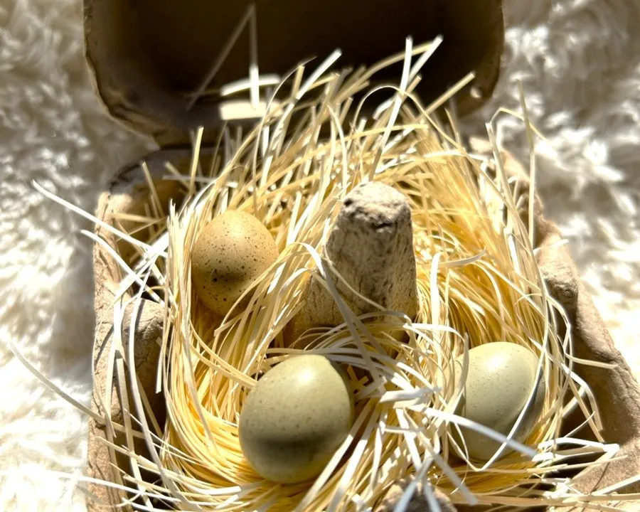 しっかり梱包してるので安心